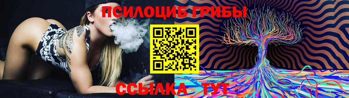 Псилоцибиновые грибы прущие грибы Тайшет