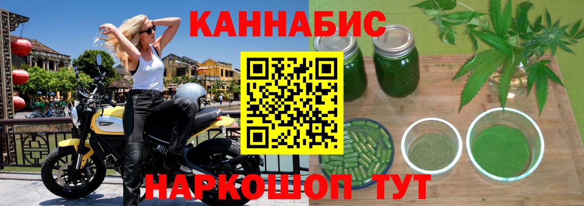 Каннабис планчик Тайшет